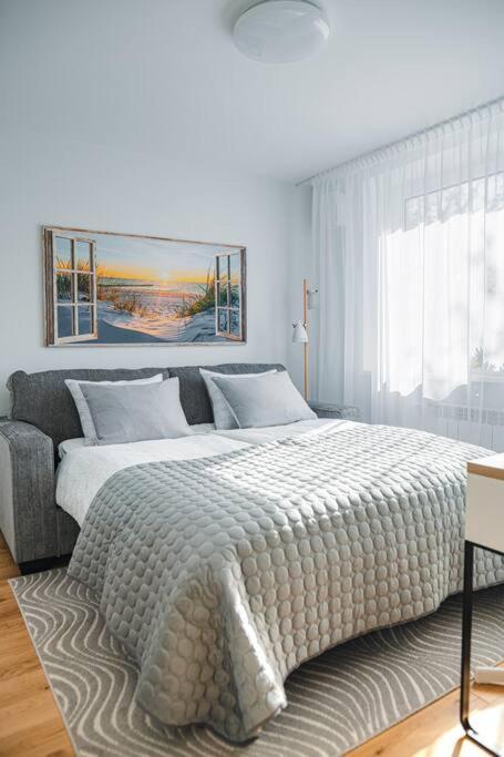 New Luxury 3Br Apartment In Old Town, Free Parking Haapsalu Exterior foto